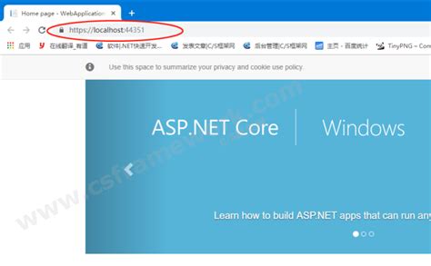 手把手搭建一个ASP.NET Core Web应用程序（默认HTTPS协议）|C/S框架网