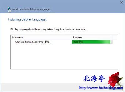 windows server 2019修改系统语言为中文 离线安装中文语言包_windows server 2019中文语言包-CSDN博客