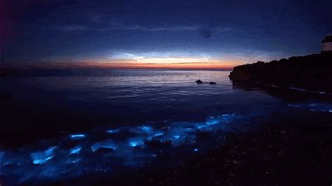 2021年2月21日晚上，惠州双月湾出现蓝色荧光海滩奇观！ - 必经地旅游网