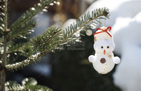 分支机构假期问候雪人在Fir树枝上的雪人在fir高清图片下载-正版图片307563818-摄图网