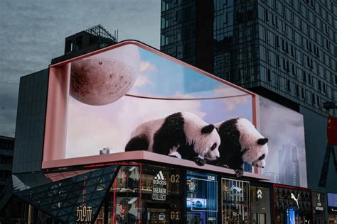 裸眼3d图片