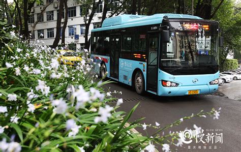 老重庆｜重庆公交近百年发展史你知道吗？这些公交车你了解多少？-上游新闻 汇聚向上的力量