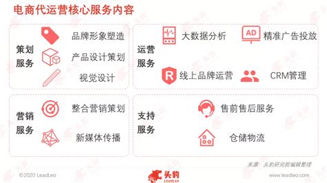 电商代运营_北京尚鹏网络技术有限公司官方网站
