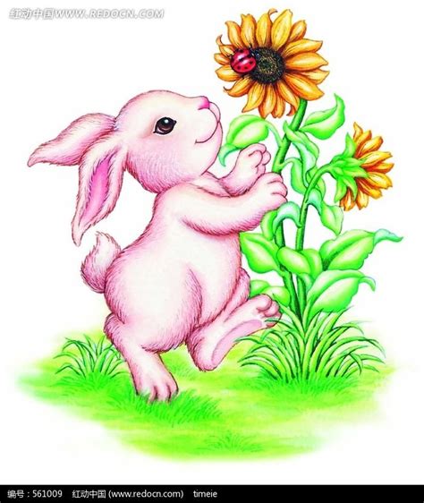 复活节兔子和向日葵水彩画图片下载_红动中国