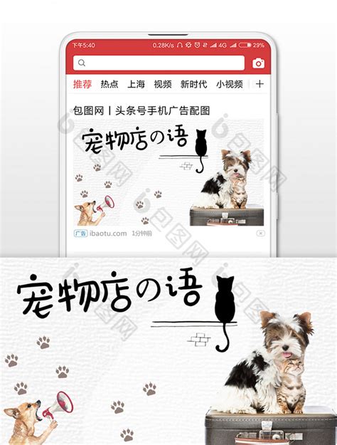 关爱宠物公众号封面图海报模板下载-千库网