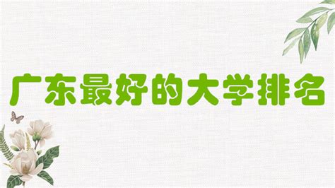 正式启动！广东一地再增一所本科大学！_软件学院_清远市_广州