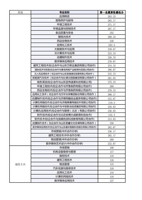 枣庄科技职业学院2020年高职（专科）单独考试招生和综合评价招生报考指南--中国教育在线