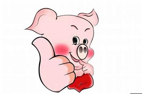 2007年出生的属猪人2021年几岁了 -属猪-生肖网
