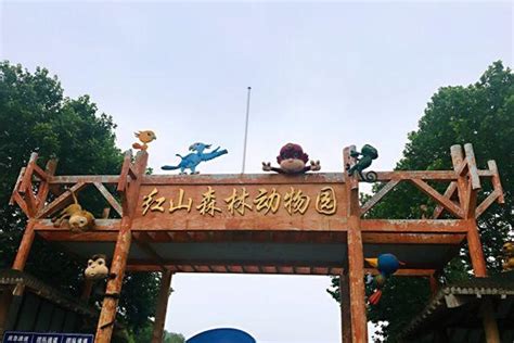 上海最大的户外免费儿童游乐区之一，来这里享春日亲子时光！ - 周到
