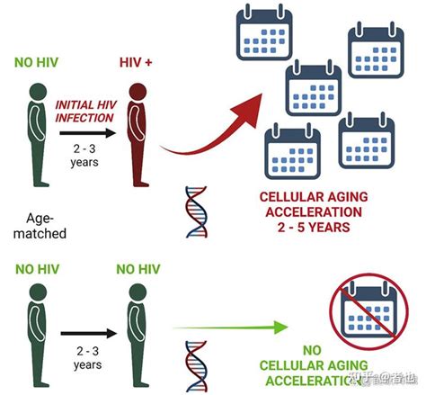 艾滋病预防重大突破：HIV疫苗在人体试验中获满意效果-《麻省理工科技评论》中文网