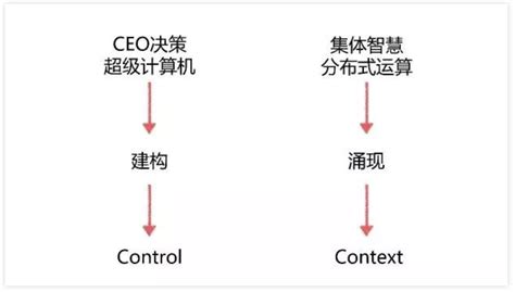 CEO怎么建立一个有效的组织？_北京华夏基石企业管理咨询有限公司