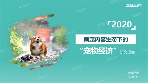萌宠宠物俱乐部促销开业海报设计图片下载_psd格式素材_熊猫办公