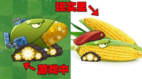 PVZ2揭秘：现实生活中的玉米加农炮长啥样？_高清1080P在线观看平台_腾讯视频