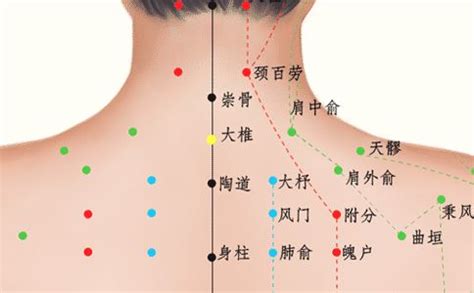 大椎准确位置图图片