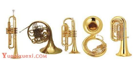 铜管乐器和打击乐器知识详解-西洋乐器 - 乐器学习网