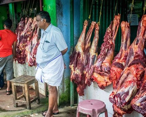 印度 到底让不让吃牛肉？_凤凰网