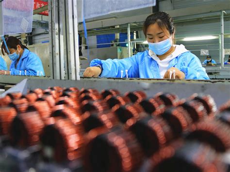 “小留微工厂”助增收——中国菏泽网