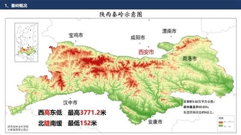 渭河干流和秦岭北麓典型支流浮游植物功能群特征及水质评价
