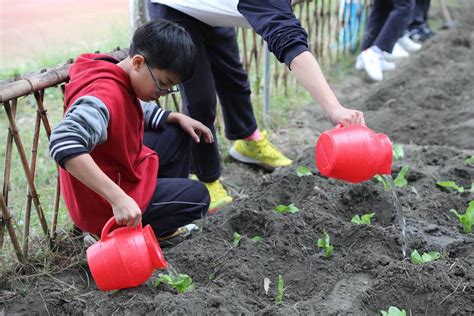 成都一中学校园里建农场，学生下田种菜成必修课 - 封面新闻
