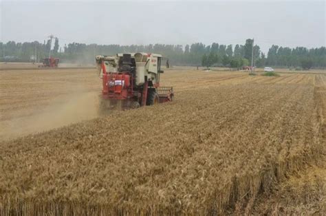 麦收季遇“烂场雨”天气 河南多举措抢收小麦-花木大世界网