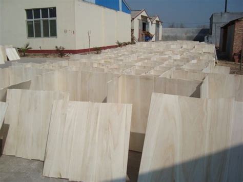 桐木板-杨木拼板-松木拼板-菏泽创丰木业有限公司