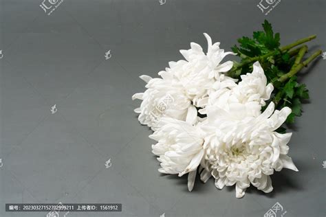 悼念亲人送什么花：亲人去世什么花可以用来悼念-高太花白事鲜花网
