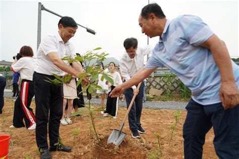 2019年度浙江绿色低碳发展“成绩单”来了 浙江发布低碳发展报告