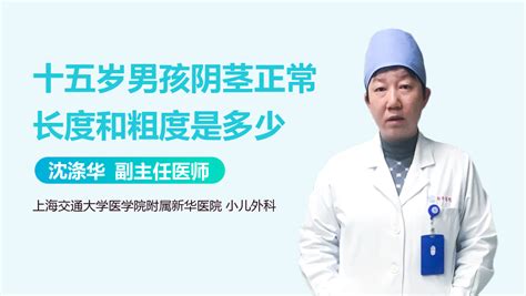 阴茎图图片