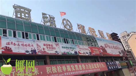 @广大旅客，海口汽车西站3月11日复班开业
