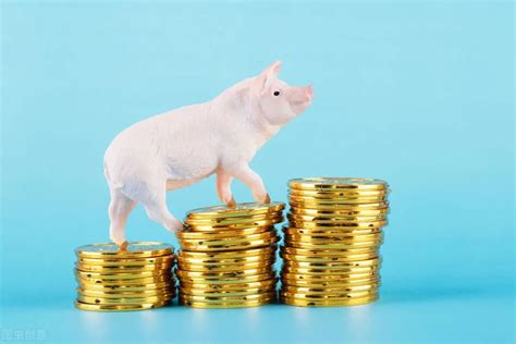 8月猪价加快上涨 多省打响猪肉供应“保卫战”_手机新浪网
