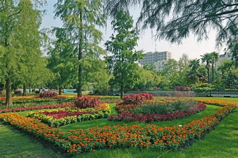 上海私家庭院花园施工落地完成 素锦年华 金地艺境|空间|景观设计|东町造园花园设计 - 原创作品 - 站酷 (ZCOOL)