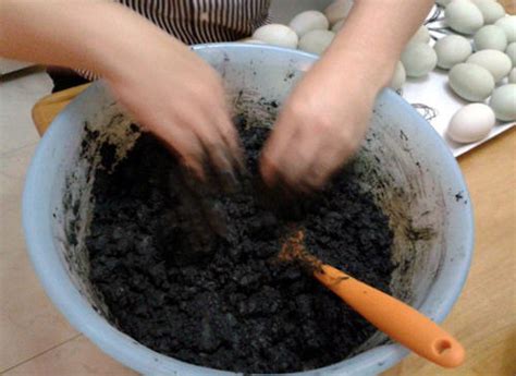 皮蛋是怎么做的（制作皮蛋的土方法介绍） – 碳资讯