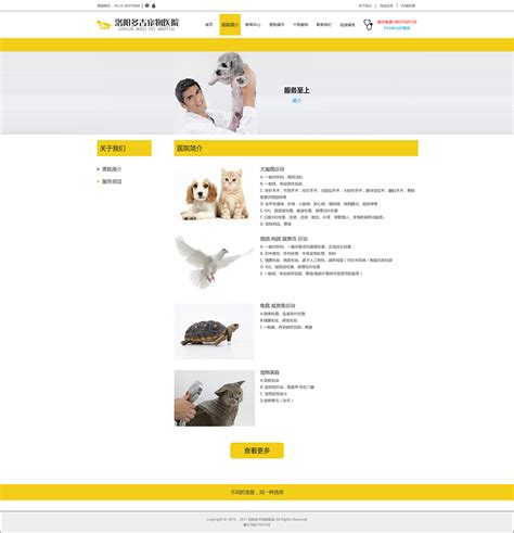 宠物护理服务推广宣传插图海报模板下载-千库网