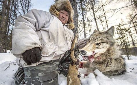 这里狼群为患, 政府使出高空灭狼计划, 居民杀死一只狼可得两千元