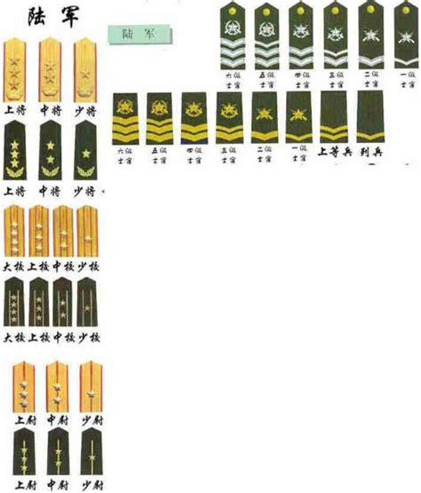 军人肩章的等级分类图【相关词_ 军人肩章等级】 - 随意优惠券
