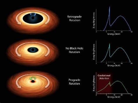 黑洞可能是自宇宙之初就已经存在的暗物质？_凤凰网