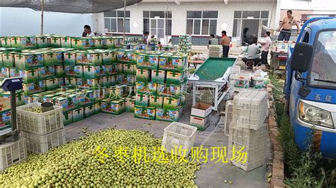 天津蓟州农副产品批发市场在哪里_怎么走-公交线路-淘金地农业网