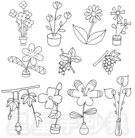 30种常见植物简笔画柳树 30种常见植物简笔画柳树图片 | 抖兔教育