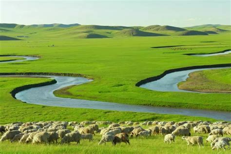 内蒙古6大草原排名，内蒙古最好的四大草原