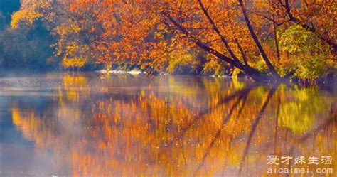 摄影师镜头下的秋日美景，如诗如画，让人们感受到了秋天的魅力