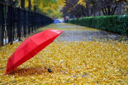 关于秋雨的心情说说句子 秋雨带字唯美图片 _八宝网