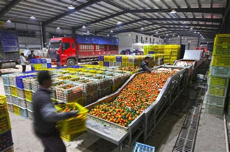 2020年中国果蔬汁行业分析报告-产业规模现状与发展规划趋势_观研报告网