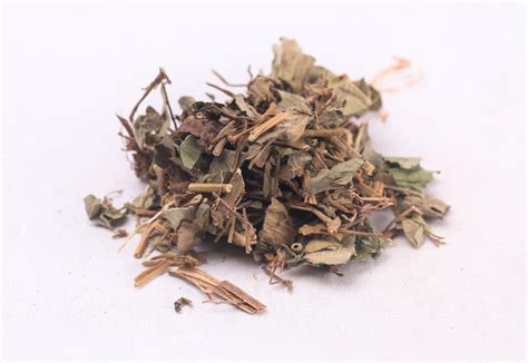 金钱草和功效图片