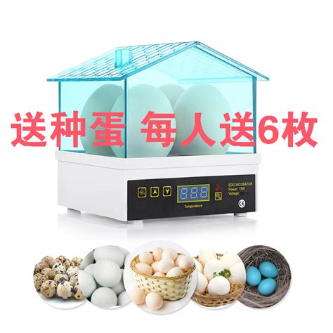 水床孵蛋器孵化机孵化器小型家用型自动智能芦丁鸡鸭鹅鹦鹉孵化箱-淘宝网