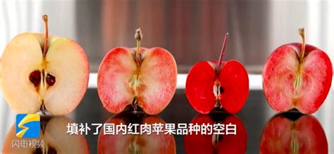 新鲜红苹果-快图网-免费PNG图片免抠PNG高清背景素材库kuaipng.com
