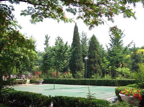 2023康庄公园游玩攻略,康庄公园是一个舒适、休闲、...【去哪儿攻略】