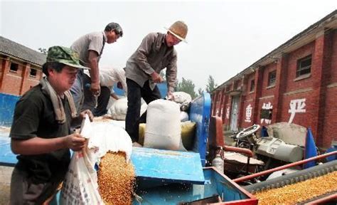 世界濒临严重粮食危机 中国老百姓的“米袋子”会受影响吗_海口网