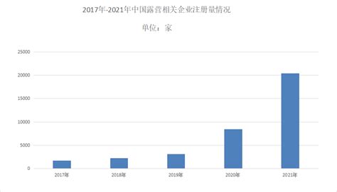 中国精致露营市场现状深度研究与发展前景分析报告（2022-2029年）-搜狐大视野-搜狐新闻