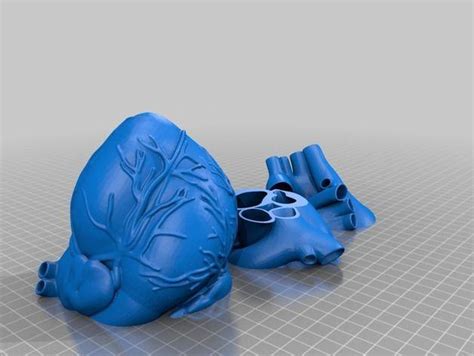 3D打印生物医学模型 三分心脏模型3D打印模型_3D打印生物医学模型 三分心脏模型3D打印模型stl下载_生物医学3D打印模型 ...
