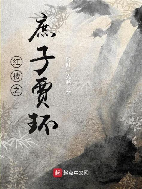 《红楼之庶子贾环》小说在线阅读-起点中文网